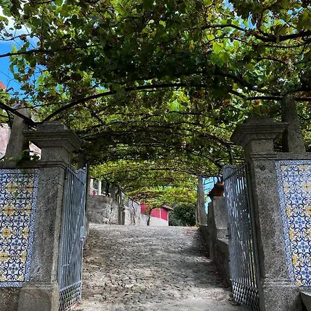 Quinta Sao Francisco Rural - Regina Group 3* Βιάνα ντο Καστέλο